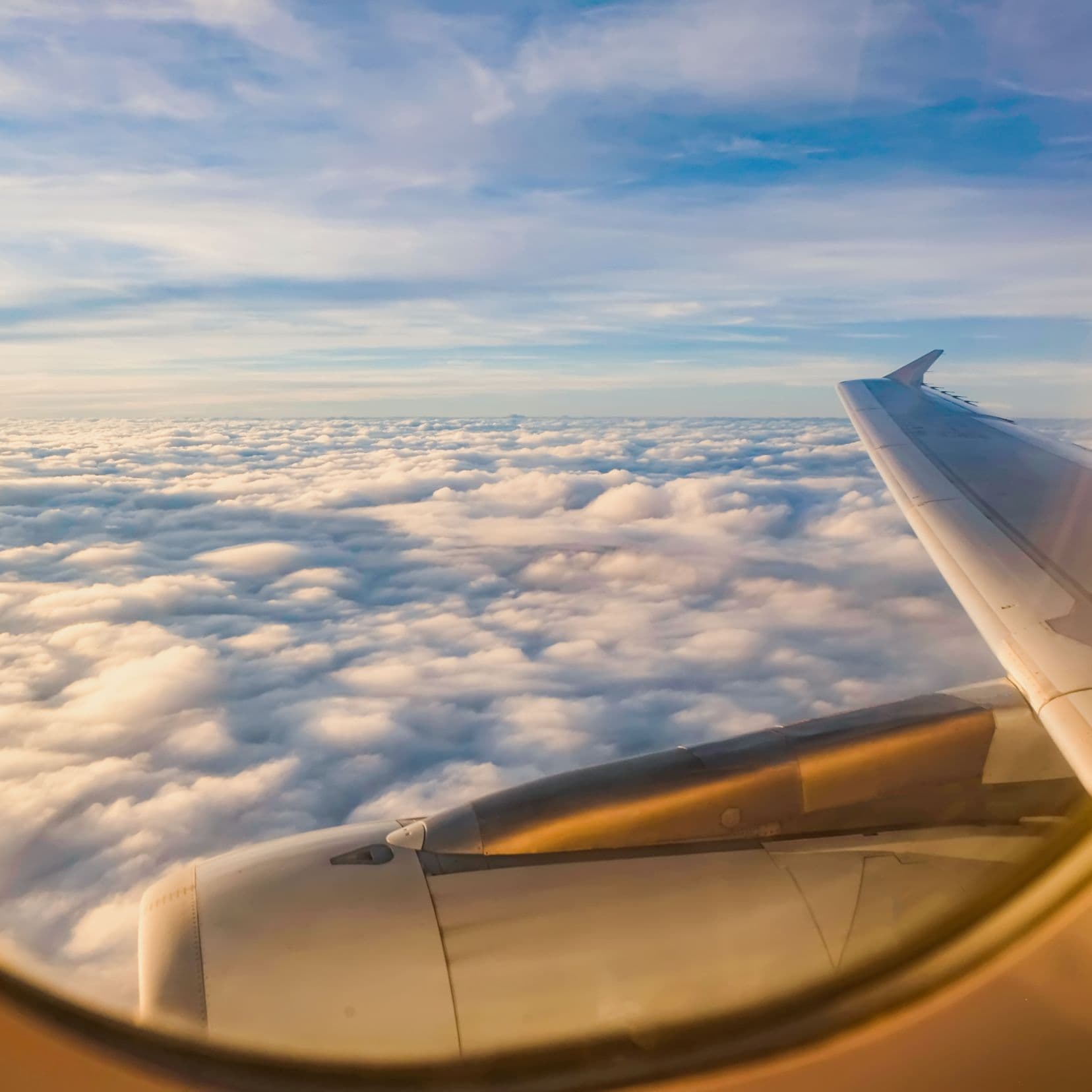 Uncompromising Excellence